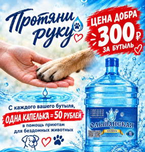 300 руб - 1бут