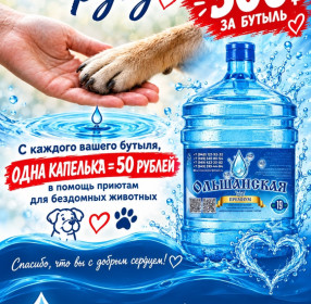 Цена 300руб